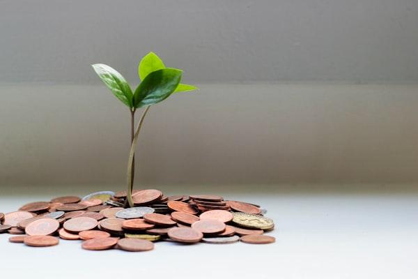 Personal Finance & Literacy course